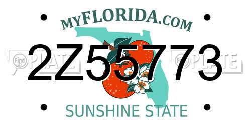 2Z55773 Florida License Plate