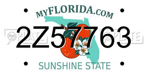 2Z57763 Florida License Plate