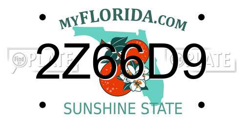 2Z66D9 Florida License Plate