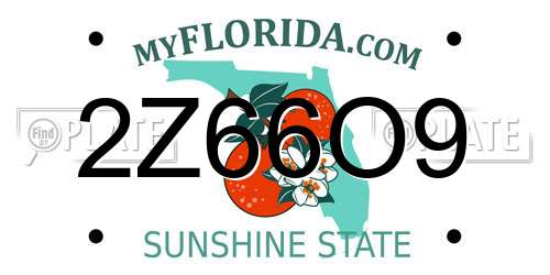 2Z66O9 Florida License Plate