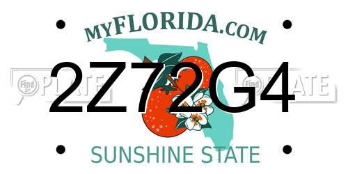 2Z72G4 Florida License Plate