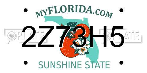 2Z73H5 Florida License Plate