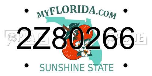 2Z80266 Florida License Plate