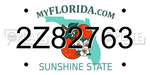 2Z82763 Florida License Plate
