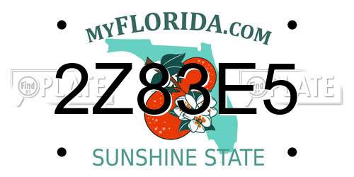 2Z83E5 Florida License Plate