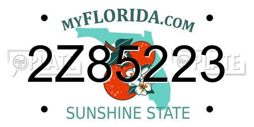 2Z85223 Florida License Plate