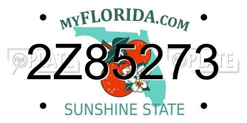 2Z85273 Florida License Plate