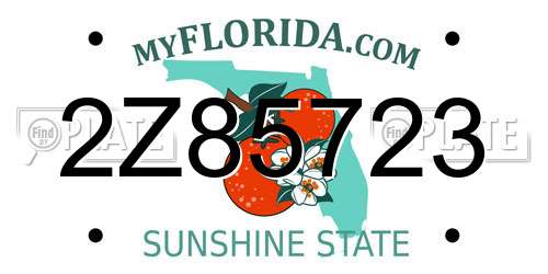 2Z85723 Florida License Plate