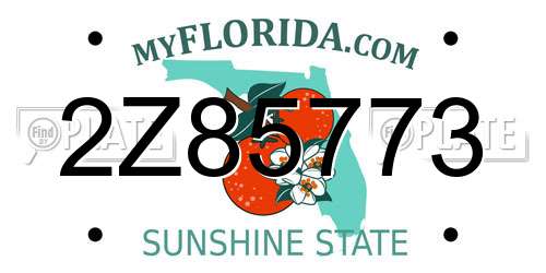 2Z85773 Florida License Plate