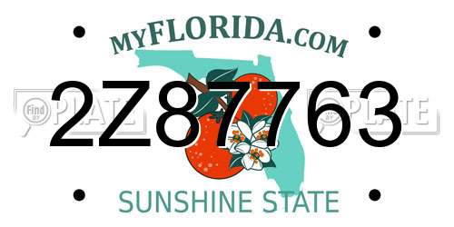 2Z87763 Florida License Plate