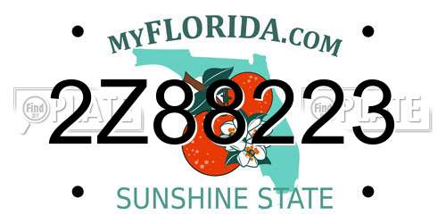 2Z88223 Florida License Plate