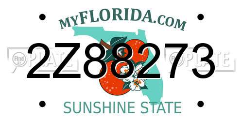 2Z88273 Florida License Plate