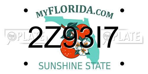 2Z93I7 Florida License Plate
