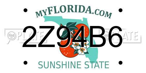 2Z94B6 Florida License Plate