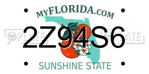 2Z94S6 Florida License Plate