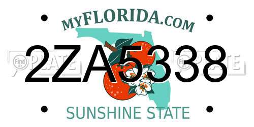 2ZA5338 Florida License Plate