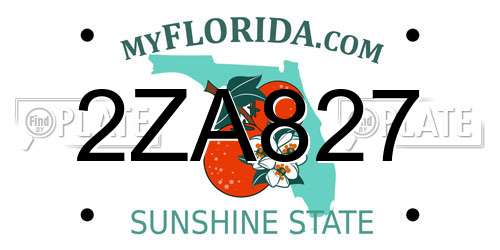 2ZA827 Florida License Plate