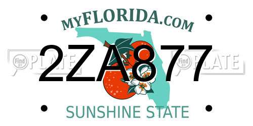 2ZA877 Florida License Plate