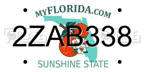 2ZAB338 Florida License Plate