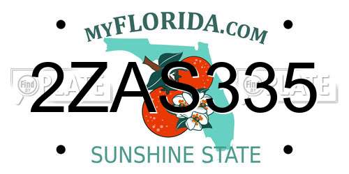 2ZAS335 Florida License Plate