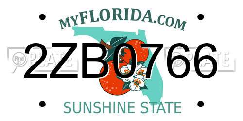 2ZB0766 Florida License Plate