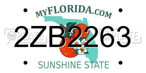 2ZB2263 Florida License Plate