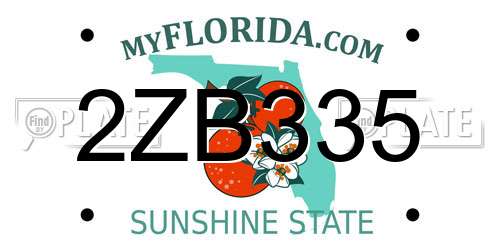2ZB335 Florida License Plate