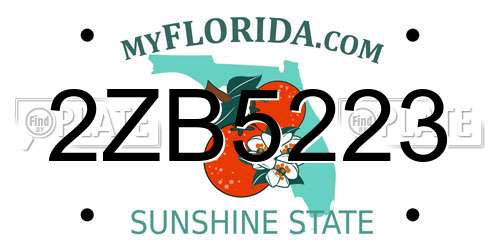 2ZB5223 Florida License Plate