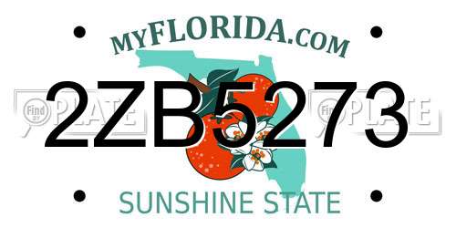 2ZB5273 Florida License Plate