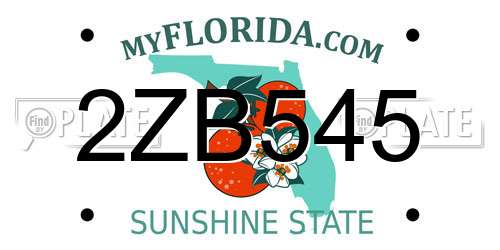 2ZB545 Florida License Plate