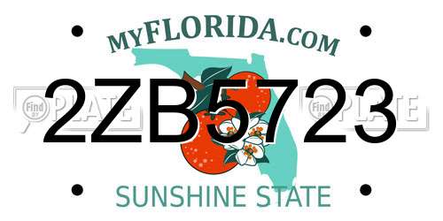 2ZB5723 Florida License Plate