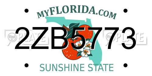 2ZB5773 Florida License Plate