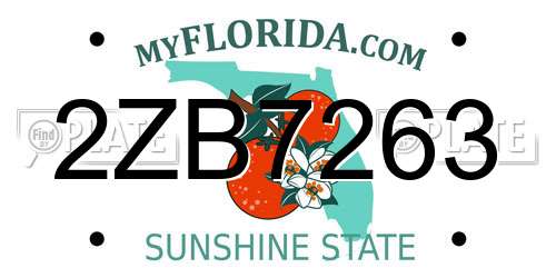 2ZB7263 Florida License Plate