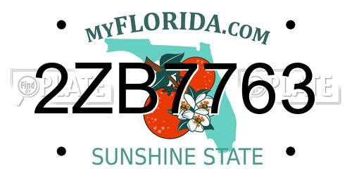 2ZB7763 Florida License Plate