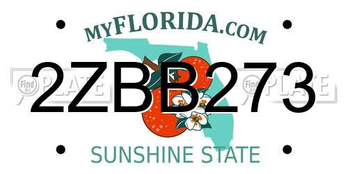 2ZBB273 Florida License Plate