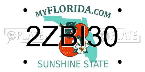 2ZBI30 Florida License Plate