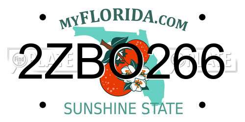 2ZBO266 Florida License Plate