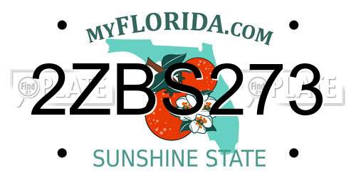 2ZBS273 Florida License Plate