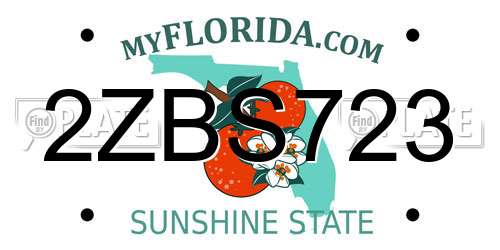 2ZBS723 Florida License Plate