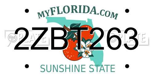 2ZBT263 Florida License Plate