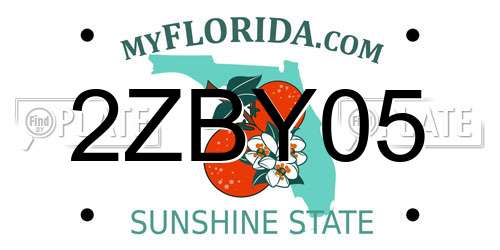 2ZBY05 Florida License Plate