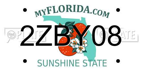 2ZBY08 Florida License Plate