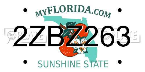 2ZBZ263 Florida License Plate