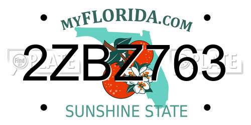 2ZBZ763 Florida License Plate