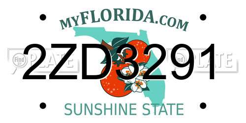 2ZD3291 Florida License Plate