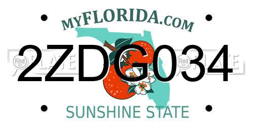 2ZDG034 Florida License Plate