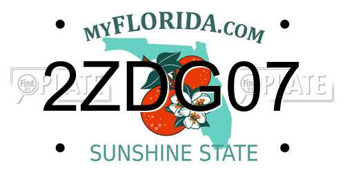 2ZDG07 Florida License Plate