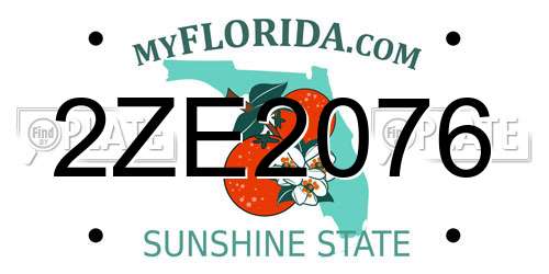 2ZE2076 Florida License Plate