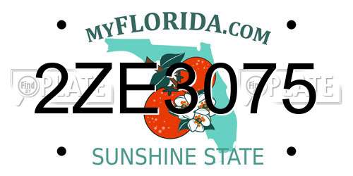 2ZE3075 Florida License Plate