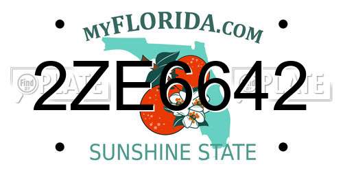 2ZE6642 Florida License Plate